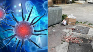 Hayvanlardan insana geçen enfeksiyona dikkat: Ciddi tehlike ‘Yavaş gelişiyor ölüme yol açıyor