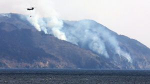 Japonya’da bin 200 hektarlık alan kül oldu: 3 bin kişinin tahliyesine karar verildi