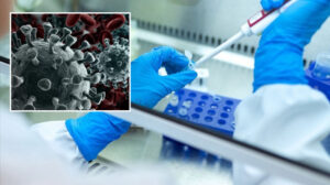 Kanser hastalıklarının yüzde 10 ila 20’si kalıtsal nedene bağlı