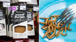 Menüde böcek var: AB’den kurtlu yiyeceklere onay