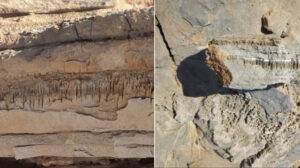 Bilim insanları şakın: Güney Afrika’da bulunan kayalıklarda yaşam izleri bulundu