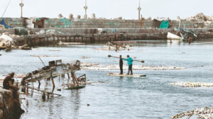 Buzdolabı kapısını balıkçı teknesi yaptı