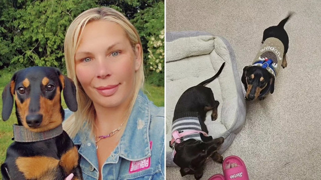 Evde tek başına yaşayan kadını beslediği köpekler yedi