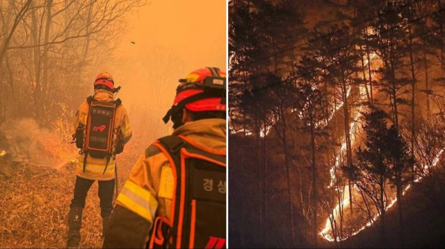 Güney Kore’deki orman yangını çıktı: Bin 500 kişi geçici barınaklara alındı