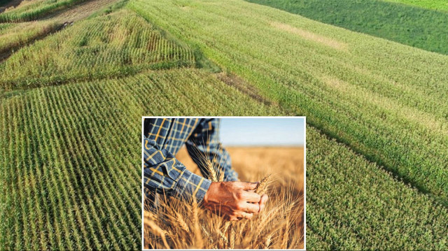 Kırsal kalkınmada 246,6 milyar liralık yatırım ülke ekonomisine kazandırıldı