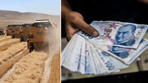 Bakanlık duyurdu: Çiftçilere yaklaşık 5,5 milyar lira destek ödemesi yapılacak