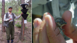 Keşfedilen böcek türüne eşinin ismini verdi: Sosyal medyada linçleneceğimi bilerek bu kararı verdim