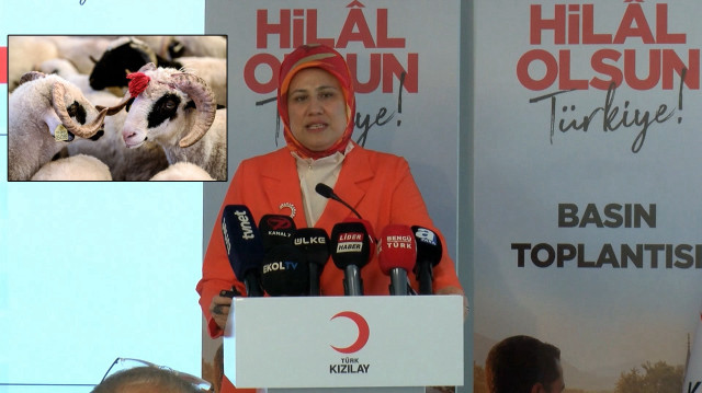 Kızılay Başkanı Yılmaz: Kurban bedeli yurtiçinde 13 bin 250 yurtdışında 5 bin 250 lira