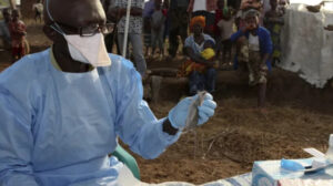 Nijerya’da ‘Lassa’ paniği: Üç ayda 100’den fazla kişiyi öldürdü