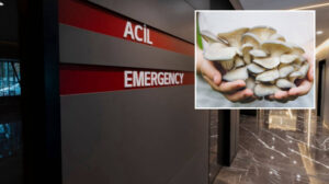 Çorum’da mantardan zehirlenen 3 çocuk yoğun bakımda