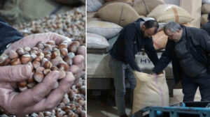 Dünyadaki üretimin yüzde 68’ini karşılıyoruz: Fiyatlar 220 liradan 180 liraya düştü