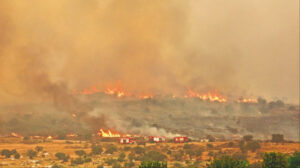 İstilacılar kendilerini mi yaktı