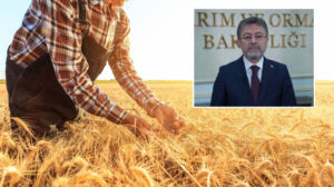 Kırsal kalkınmaya dev destek: 329 projeye 3,6 milyar lira hibe