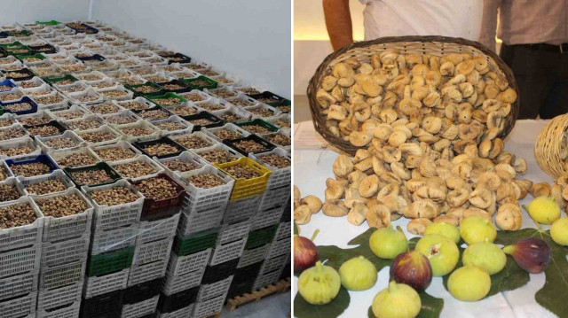 Kuru incir ihracatı yüzde 28’lik büyüme ile 292 milyon dolara yükseldi