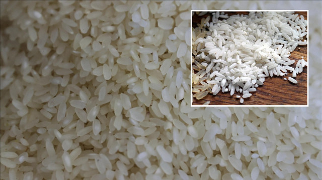 Pirinçteki sessiz tehlike: Arsenik birikimi