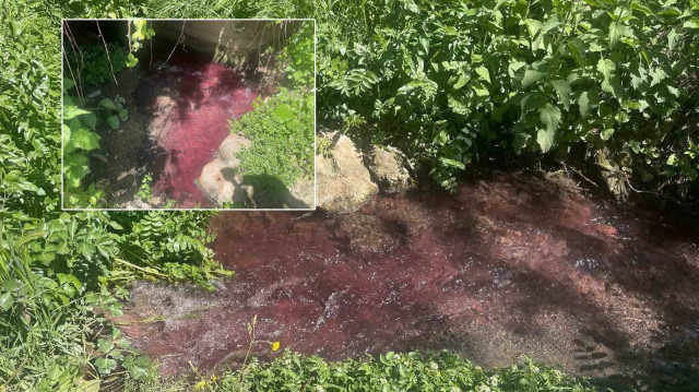 Yer Bursa: Turşu sulu renkli dereye çiftçiler de uzmanlar da tepkili