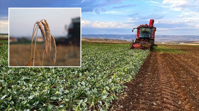 Çiftçilere 5,5 milyar lira destek ödemesi bugün yapılacak