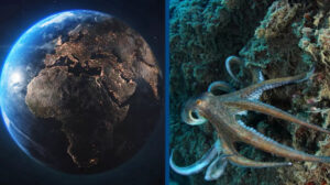 İnsanlık yok olduğunda Dünya’yı ele geçirecek tür belli oldu