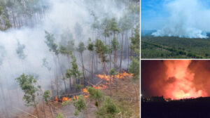 Almanya’da orman yangınları: Beş gündür kontrol altına alınamadı