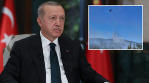 Cumhurbaşkanı Erdoğan: Yangınların yüzde 90’ı ilk 24 saat içinde kontrol altına alındı