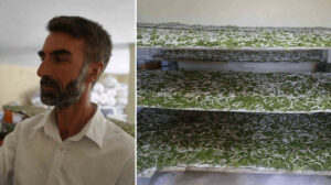 Kilosuna bin 400 lira: ‘Böcekle mi uğraşacaksın’ sözlerine aldırmadı, binlerce lira kazandı