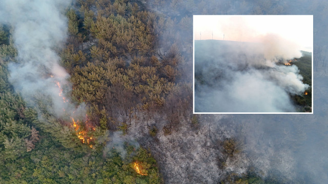 Tekirdağ’da çıkan orman yangını geniş alana yayıldı