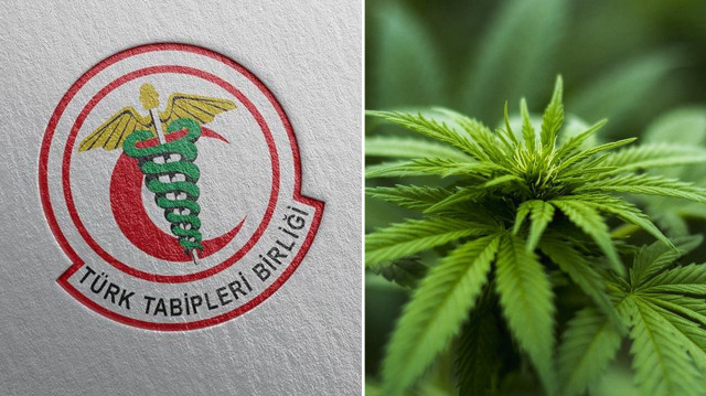TTB’den kenevir kullanımıyla ilgili uyarı: Yasa teklifi gözden geçirilmeli