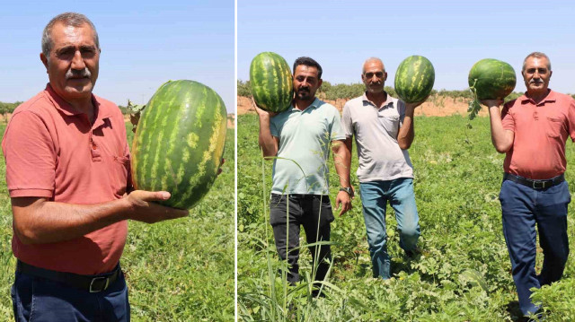 Türkiye’nin en lezzetlisi: Tadını bereketli topraklar ile dağlardan eriyen karlardan alıyor
