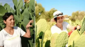 Çevresindeki herkes alay etti: Türkiye’de bir ilk, ‘yurt dışında çok değerli’