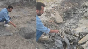 Hakkari’de gizemli vadi: İnsanlara şifa, hayvanlara ölüm saçıyor