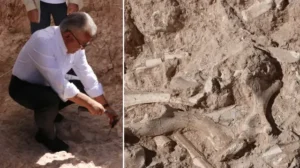 Kayseri’de heyecanlandıran gelişme: Dünyaya yeni bir tür tanıtabiliriz