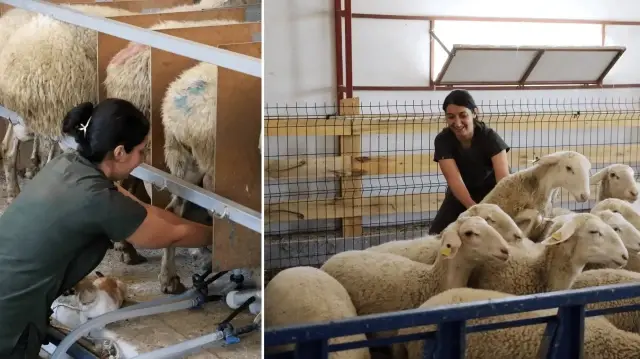 Kendi işinin patronu oldu: ‘Sütü kokar’ dediler ama talebe yetişemiyor, devlet desteğiyle iki yılda her şey değişti