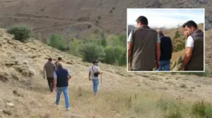 Bayburt’ta annesini kaybeden yavru ayı köyü alarma geçirdi