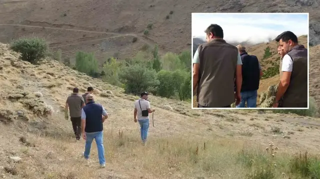 Bayburt’ta annesini kaybeden yavru ayı köyü alarma geçirdi