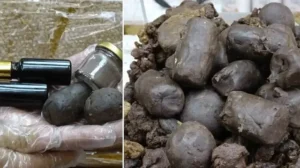 Binbir emekle hazırlanıyor, 50 gramı bin 250 lira: Onlarca hastalığa iyi geliyor, herkes sipariş veriyor