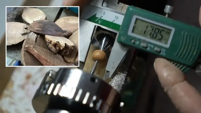 Dünyanın öbür ucundan Erzincan’a: Brezilya meyvesi tespih oluyor