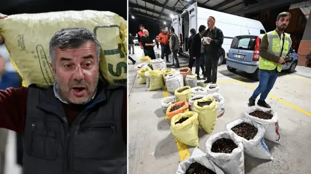 Düzce’de kestane mezatı açıldı