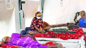 El-Faşir’de açlık krizi büyüyor: İnsanlar hayvan yemi yiyor
