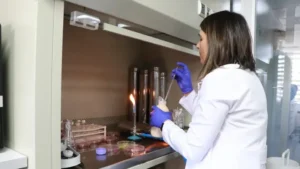 Gıdanın bozulduğunu renkle bildiren çalışma tescil aldı