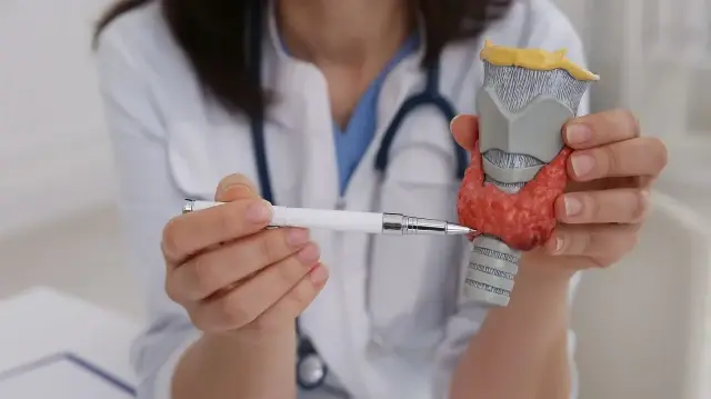 İyot tiroid hormonlarının üretiminde kritik rol üstleniyor