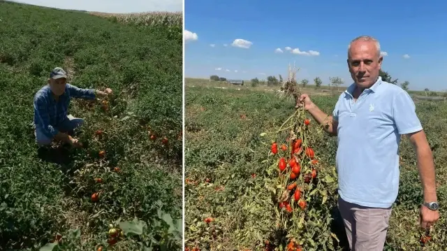 Londra’da kazandı, Bursa’da yatırım yaptı: Dil öğrenmek için gitti fast food zinciri kurdu