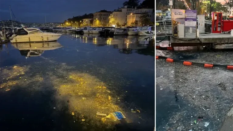 Sarıyer’de denize atılan çöpler kıyıya vurdu