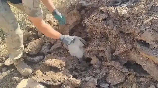 Zehir tacirlerinden tezekli sığınak: Silah ve mühimmat da ele geçirildi