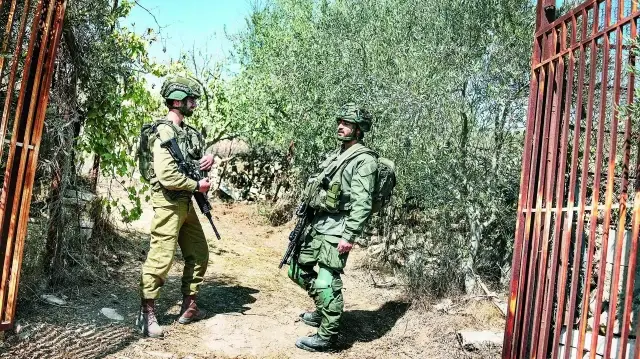 Zeytin ağaçlarına bile saldırıyor