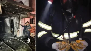 Balıkesir’de tavuk çiftliğinde çıkan yangında 5 bin civciv öldü