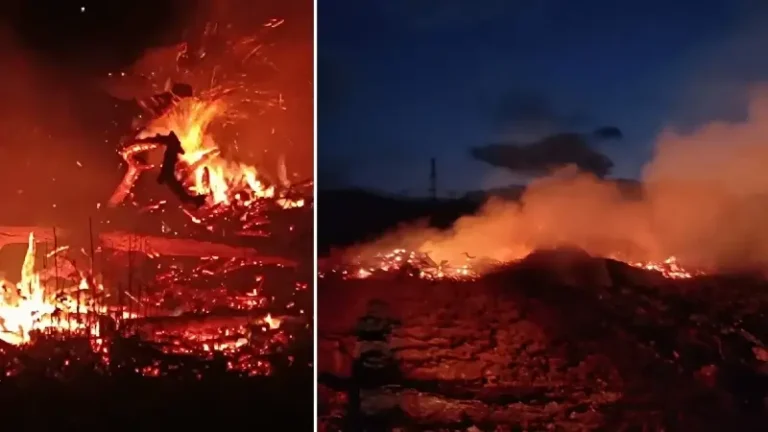 Bilecik’te arazide çıkan yangın söndürüldü