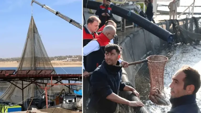 Bozkırın ortasında balıkçılık başarısı:  Rusya, Almanya, Çin gibi ülkelere gönderiliyor