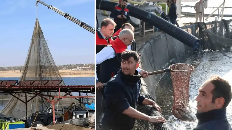 Bozkırın ortasında balıkçılık başarısı:  Rusya, Almanya, Çin gibi ülkelere gönderiliyor