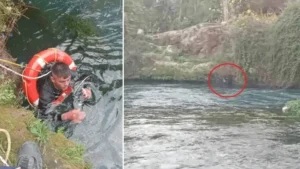 Düden Çayı’na düşen şahsı itfaiye ekipleri kurtardı