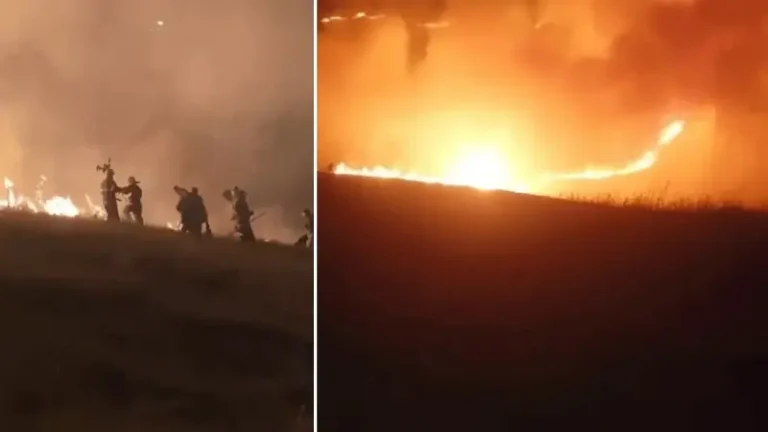 Ermenistan sınırında korkutan örtü yangını